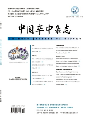 中国卒中封面